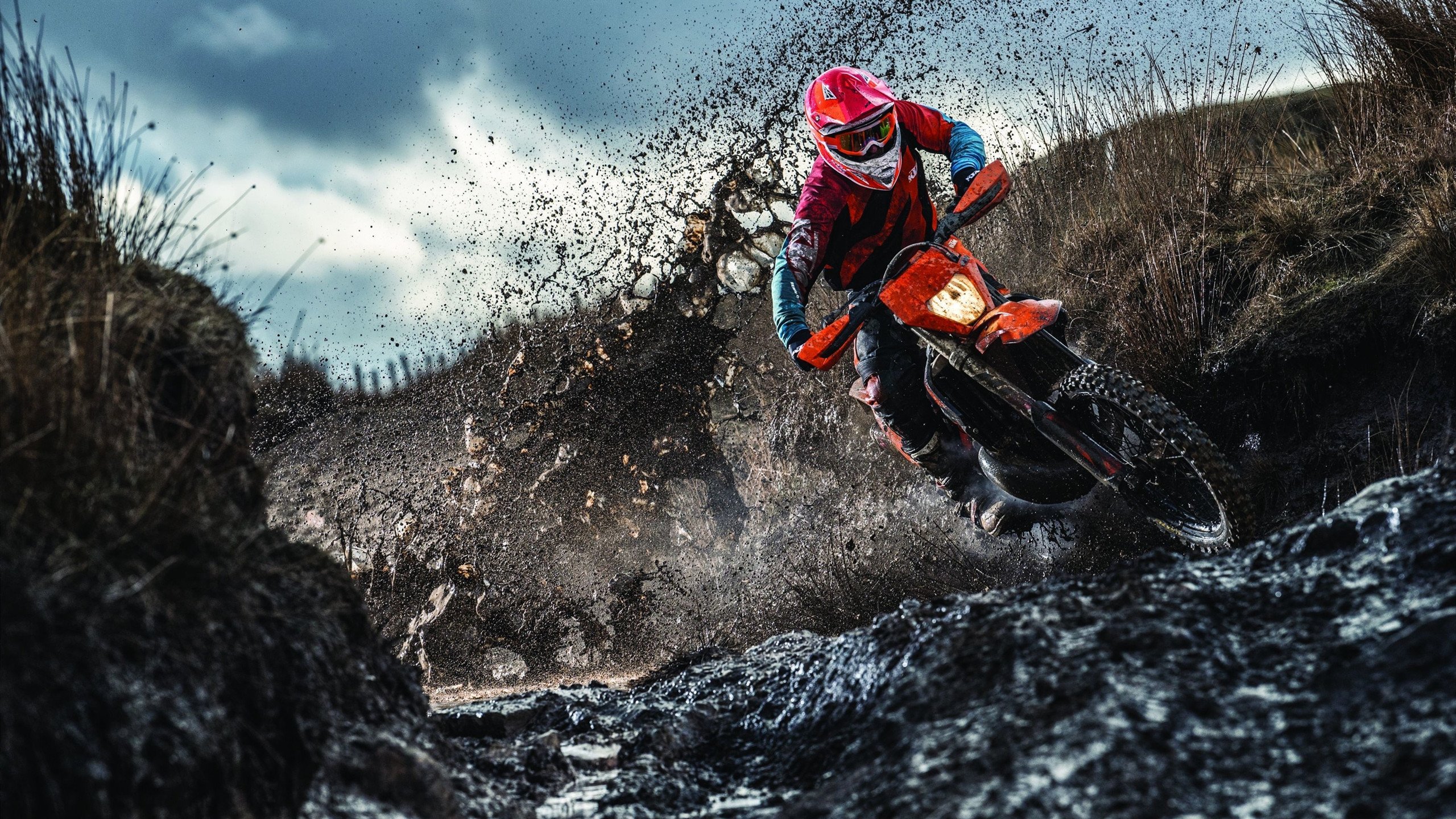 南非羚羊队：以强悍防守为基础，他们掌控着比赛节奏，南非大羚羊主要分布哪里